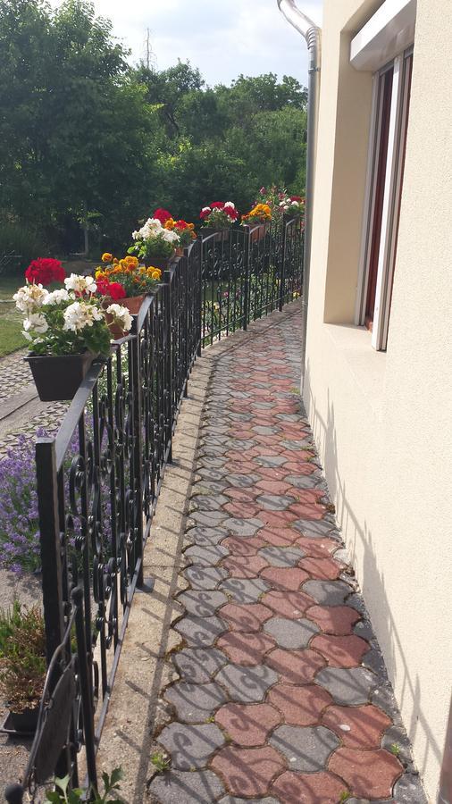 Hotel Zempleni Vendeghaz Erdőbénye Exteriér fotografie